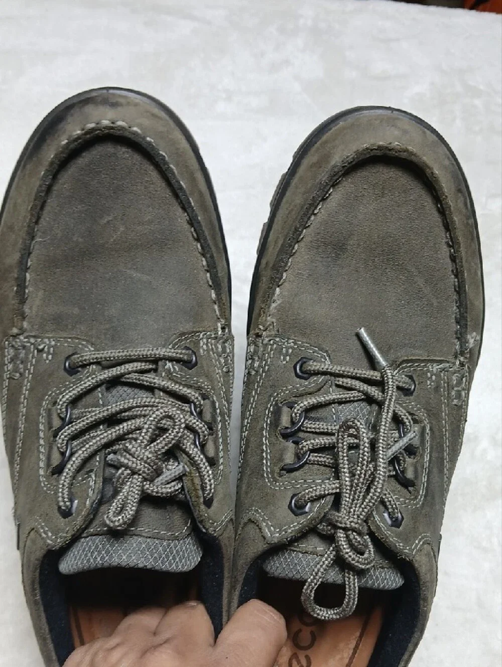 Ecco hiking gore